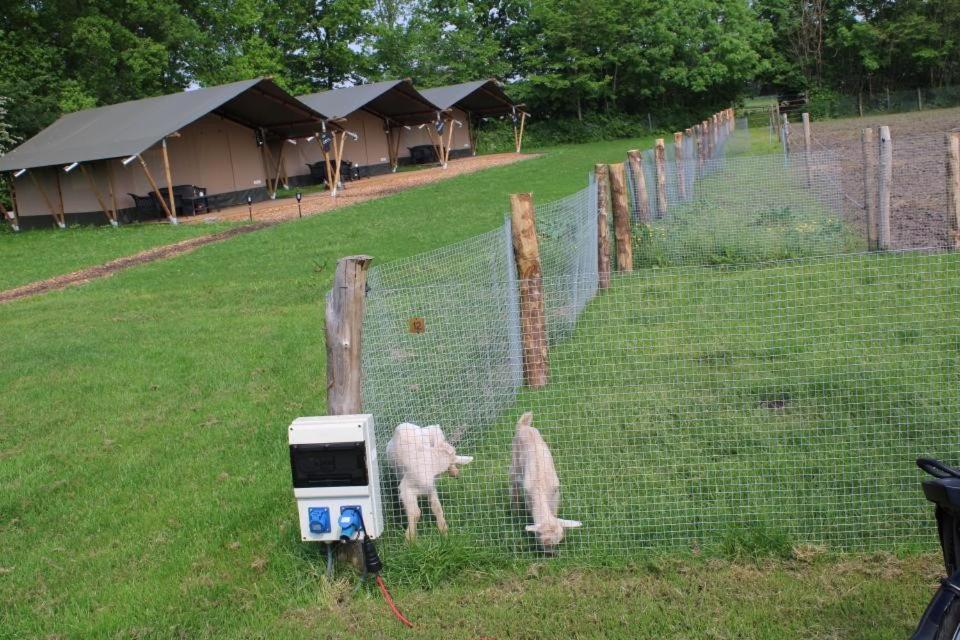 Camping De Waterbuffelfarm Oldemarkt Ngoại thất bức ảnh